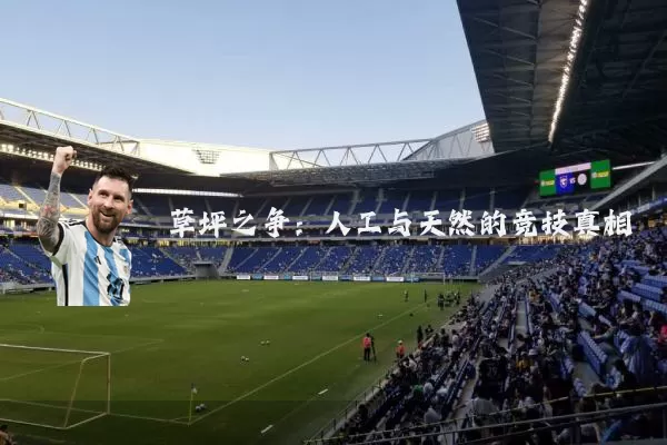 草坪之争：人工与天然的竞技真相